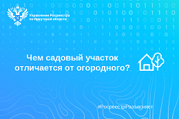 Чем садовый участок отличается от огородного?