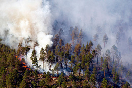 В Иркутской области за минувшие выходные потушили девять лесных пожаров