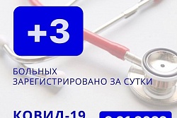 За сутки в Усть-Кутском районе выявлено 3 новых случая коронавируса.