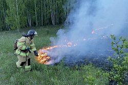 На территории северных районов Иркутской области продлен особый противопожарный режим до 30 августа