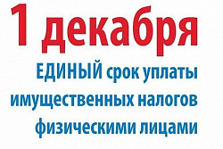 Жителям Усть-Кутского района необходимо уплатить налоги за 2024 год до 1 декабря 
