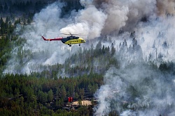 За сутки в Усть-Кутском районе ликвидировали 2 лесных пожара, оставшиеся 5 смогли локализовать