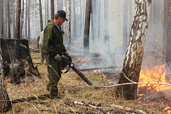 В Усть-Кутском районе за минувшие выходные потушили один лесной пожар