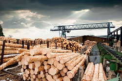 О мерах поддержки предприятиям лесопромышленного комплекса 