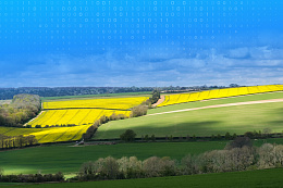 Земельный фонд Иркутской области в цифрах