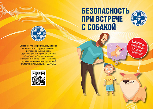 Домашние животные и ответственное обращение с ними