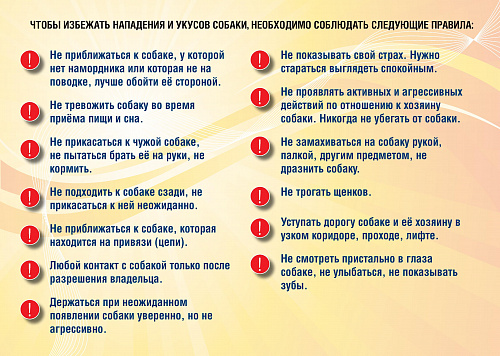 Домашние животные и ответственное обращение с ними