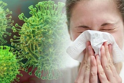 Люди и коронавирус: как инфекция ломает общественные привычки