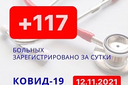 За сутки в Усть-Кутском районе выявлено 117 новых случаев коронавируса.