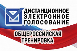 Общероссийская тренировка системы дистанционного электронного голосования (ДЭГ)
