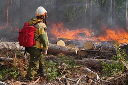 В Усть-Кутском районе продолжается тушение лесного пожара