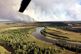 В лесах Иркутской области за минувшие сутки ликвидировали семь пожаров