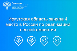 Иркутская область заняла 4 место в России по реализации лесной амнистии