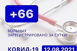 За сутки в Усть-Кутском районе выявлено 66 новых случаев коронавируса