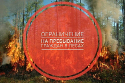 С 1 июня в Иркутской области ужесточили ограничения на пребывание граждан в лесу