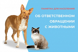 Домашние животные и ответственное обращение с ними