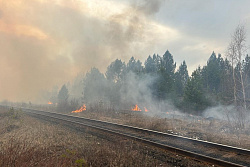 В лесах Иркутской области накануне потушили 11 пожаров. Один пожар действует в Усть-Кутском районе
