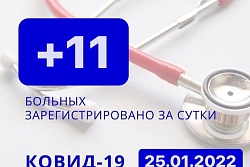 За сутки в Усть-Кутском районе выявлено 11 новых случаев коронавируса.