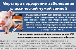 Классическая чума свиней 