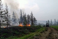 Информация по действующим лесным пожарам