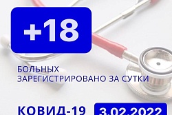 За сутки в Усть-Кутском районе выявлено 18 новых случаев коронавируса.