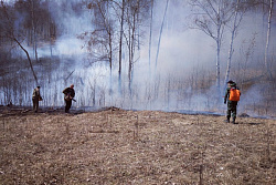 В Усть-Кутском районе ликвидировано 3 пожара