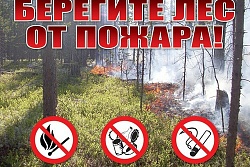 Берегите лес от пожара! 