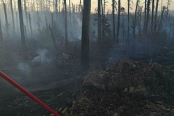 В Усть-Кутском районе продолжается локализация самого большого лесного пожара