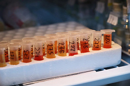 Весенние обработки сельхозживотных проводятся в отдаленных селах региона