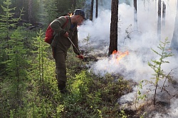 На 17 августа в Усть-Кутском районе все лесные пожары потушены