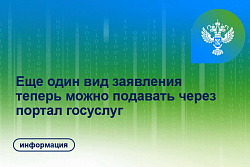 Еще один вид заявления теперь можно подать удаленно через портал госуслуг