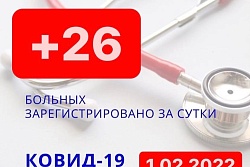 За сутки в Усть-Кутском районе выявлено 26 новых случаев коронавируса.