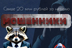 Больше 20 миллионов рублей похитили мошенники у жителей Иркутской области за неделю