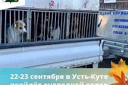 22-23 сентября в Усть-Кутском районе пройдёт отлов собак без владельцев