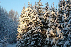 В Иркутской области стартовало межведомственное оперативно-профилактическое мероприятие «Метель»