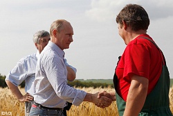 Владимир Путин: Урожай зерновых даст нам возможность не только обеспечить себя, но и сохранит нам существенный экспортный потенциал