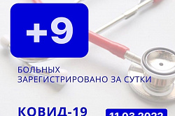 За сутки в Усть-Кутском районе выявлено 9 новых случаев коронавируса.