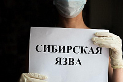 Сибирская язва