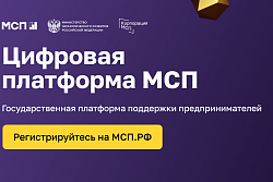 Цифровая платформа МСП