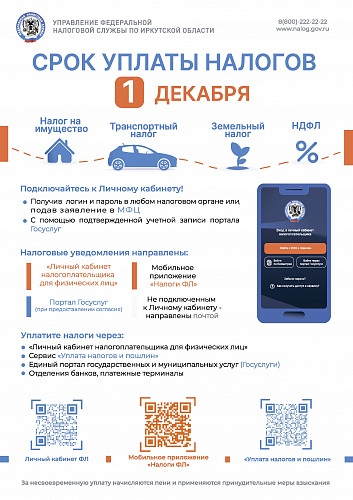 Жителям Усть-Кутского района необходимо уплатить налоги за 2024 год до 1 декабря 