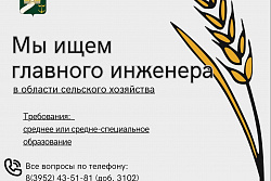 В Администрации УКМО требуется главный инженер