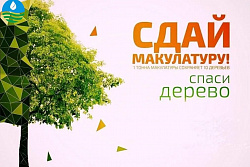 Всероссийский эко-марафон Переработка «Сдай макулатуру – спаси дерево!» пройдёт в ноябре