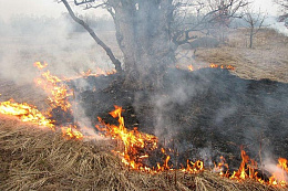 В Иркутской области ликвидировали один лесной пожар