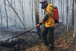 За минувшие сутки в лесном фонде в Иркутской области ликвидировано шесть возгораний