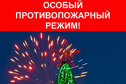 На территории Иркутской области с 29 декабря введён особый противопожарный режим