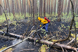 В Иркутской области за сутки потушили четыре лесных пожара