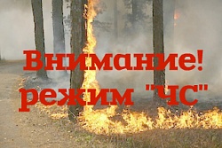Информация по действующим лесным пожарам на территории  Усть-Кутского района на 27 августа