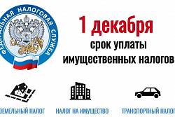 Уплатите налоги до 1 декабря! 
