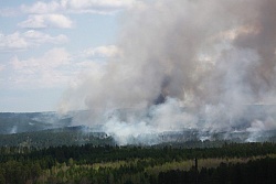 Число лесных пожаров в Иркутской области