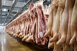 Об утверждении новых ветеринарных правил по убою и ветеринарно-санитарной экспертизе мяса и продуктов убоя